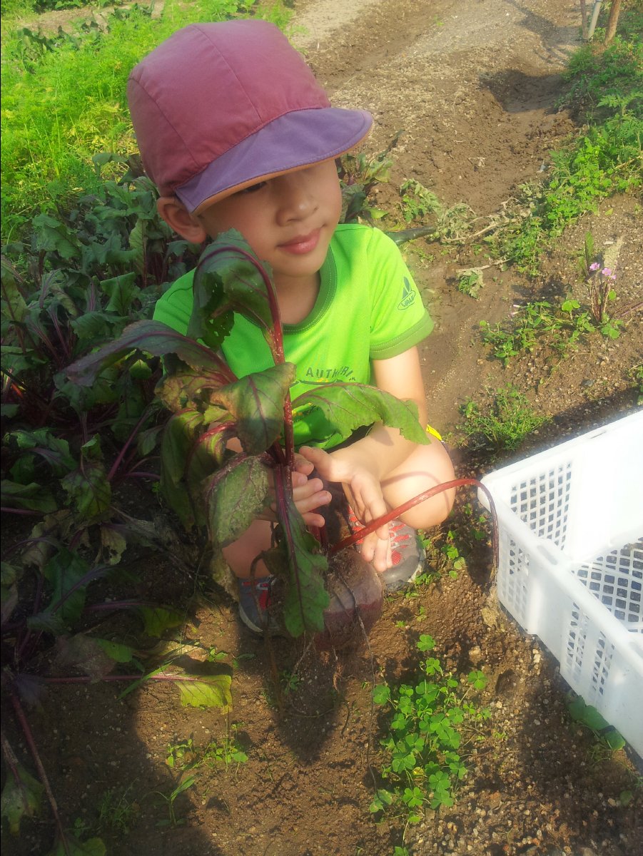 20120422Organic Farm18
